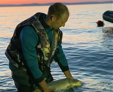 Tiszteld és engedd vissza! - Siófok, 7 kg. 